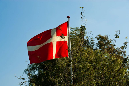 Flag, Guldborgsund Frivilligcenter
